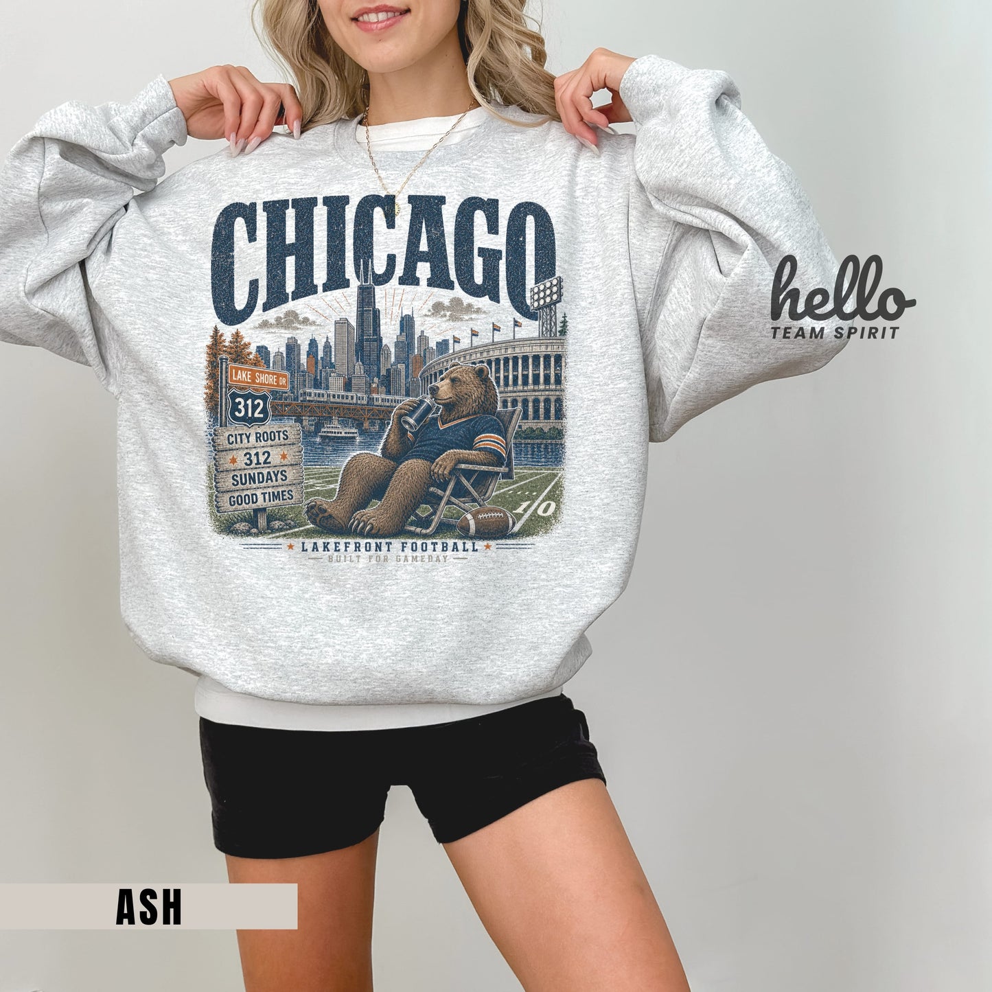 Chicago Lakefront Football Graphic Sweatshirt