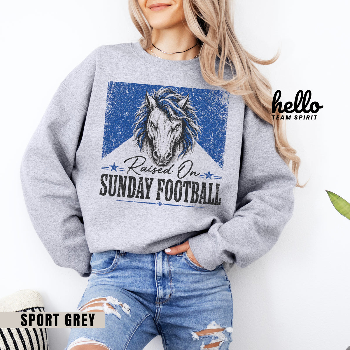 Indianapolis Sunday Football Graphic Sweatshirt