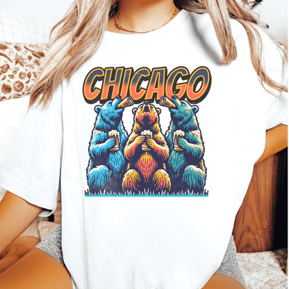 Let's Go Chicago Football Tshirt