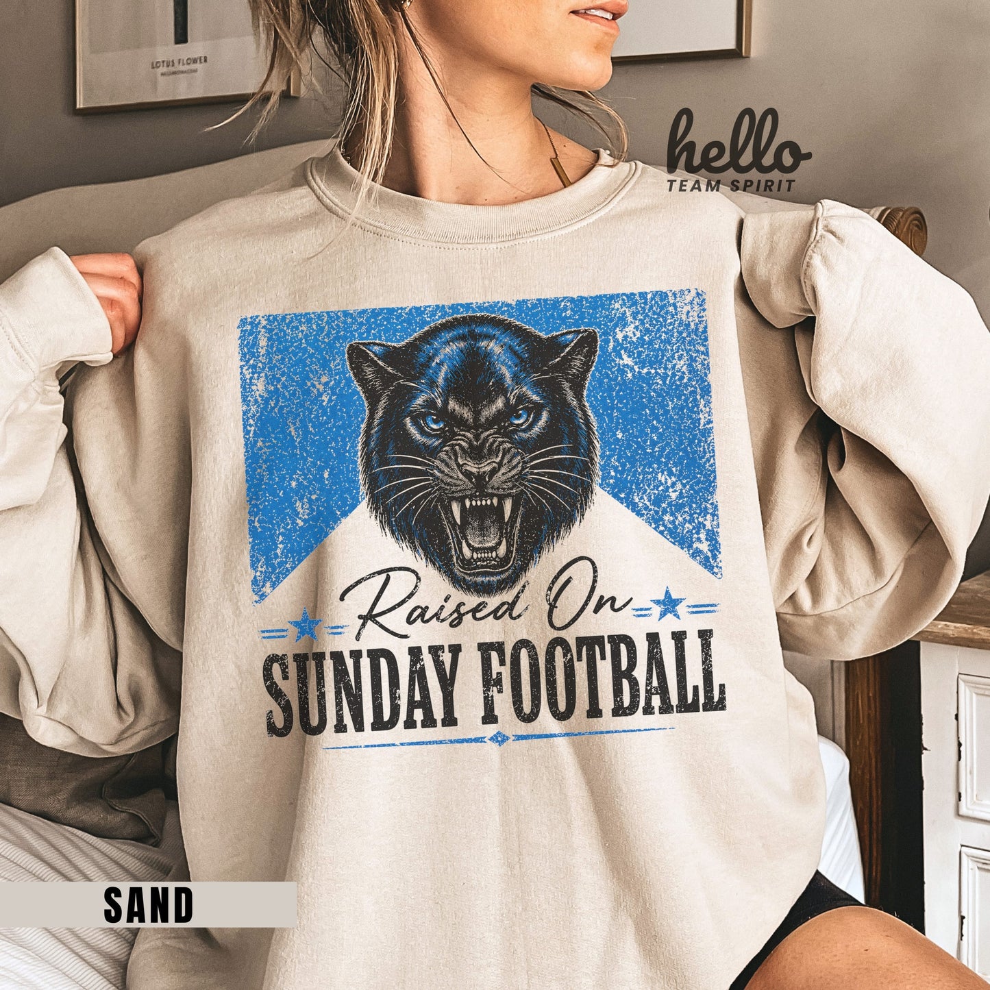 Carolina Sunday Football Graphic Sweatshirt