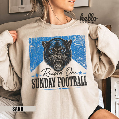 Carolina Sunday Football Graphic Sweatshirt