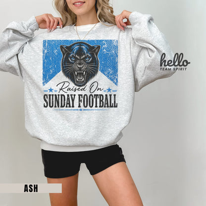 Carolina Sunday Football Graphic Sweatshirt