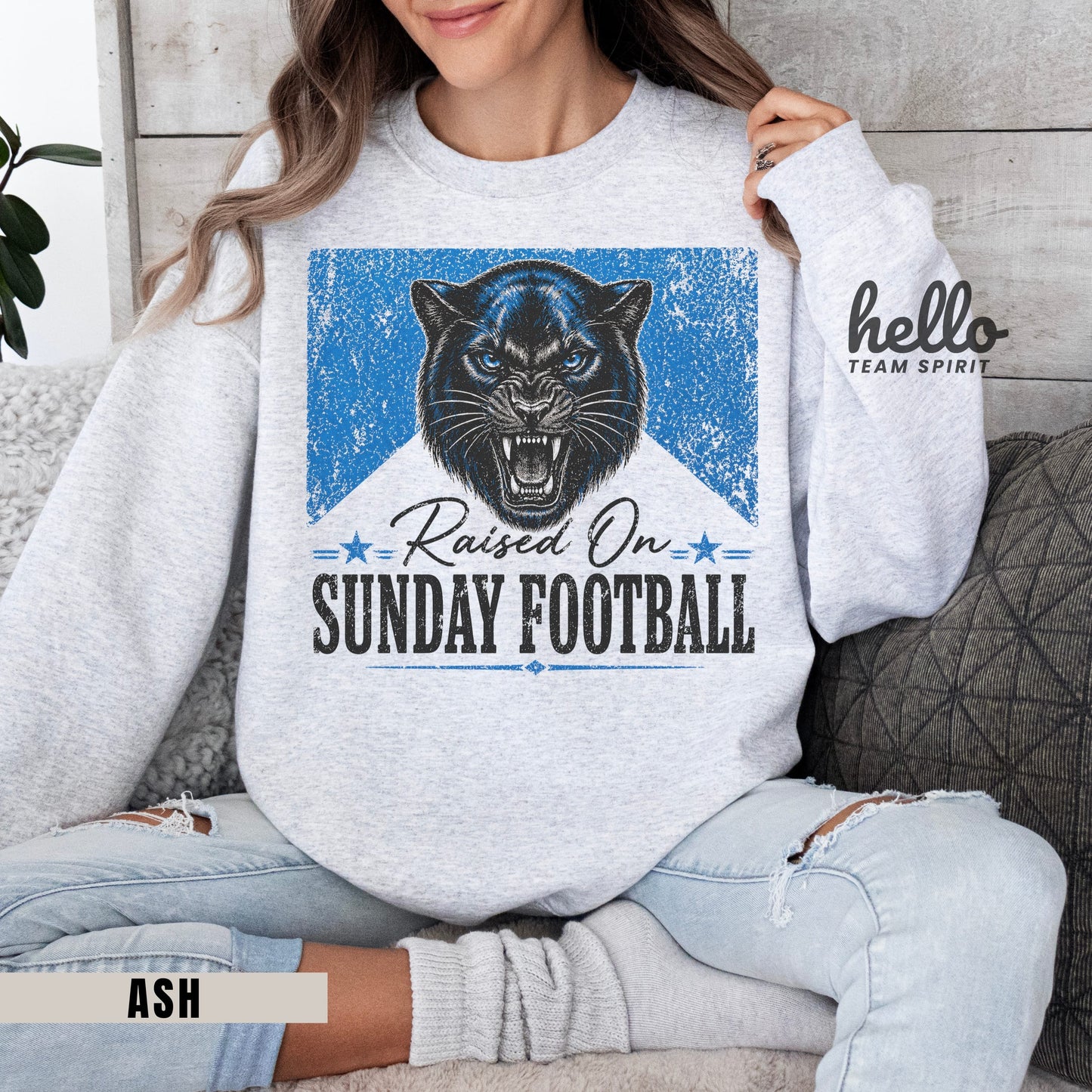 Carolina Sunday Football Graphic Sweatshirt
