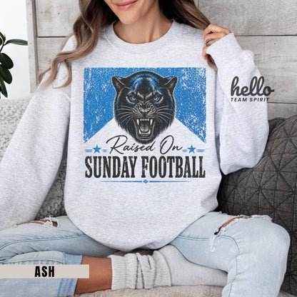 Carolina Sunday Football Graphic Sweatshirt