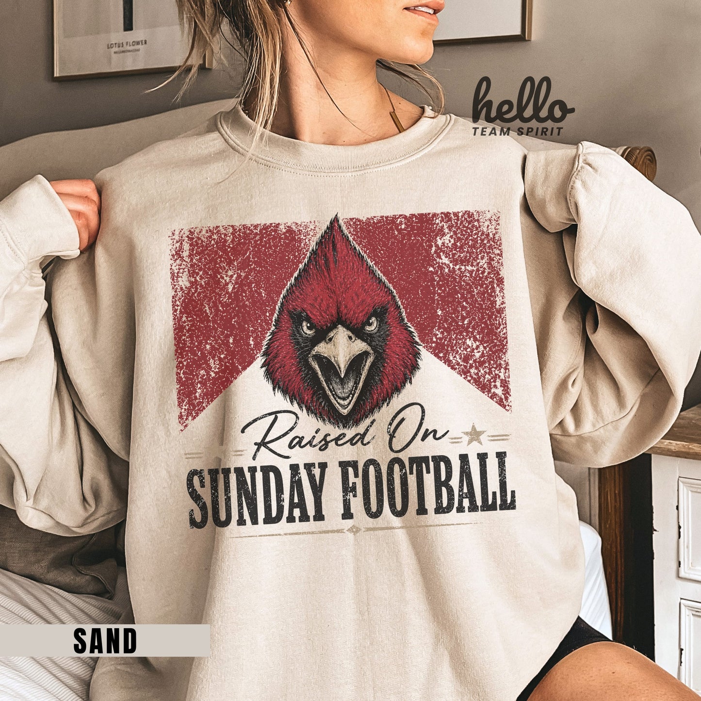Arizona Sunday Football Graphic Sweatshirt