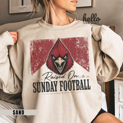 Arizona Sunday Football Graphic Sweatshirt