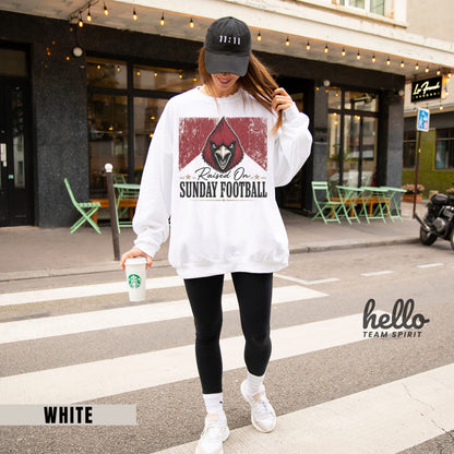 Arizona Sunday Football Graphic Sweatshirt
