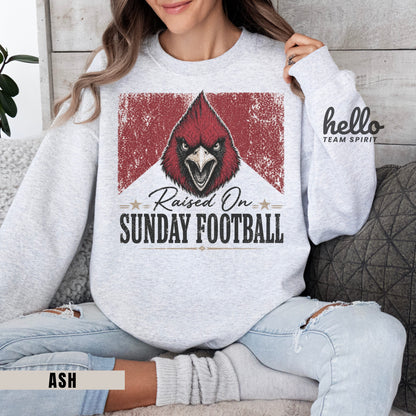 Arizona Sunday Football Graphic Sweatshirt