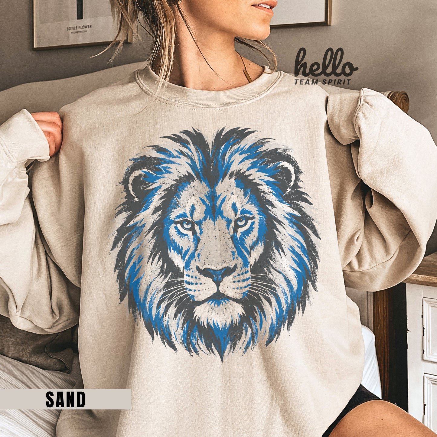Detroit Retro Football Graphic Sweatshirt