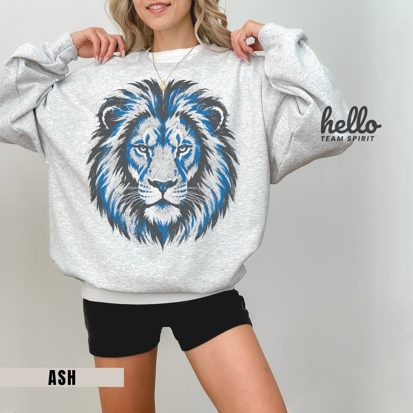 Detroit Retro Football Graphic Sweatshirt