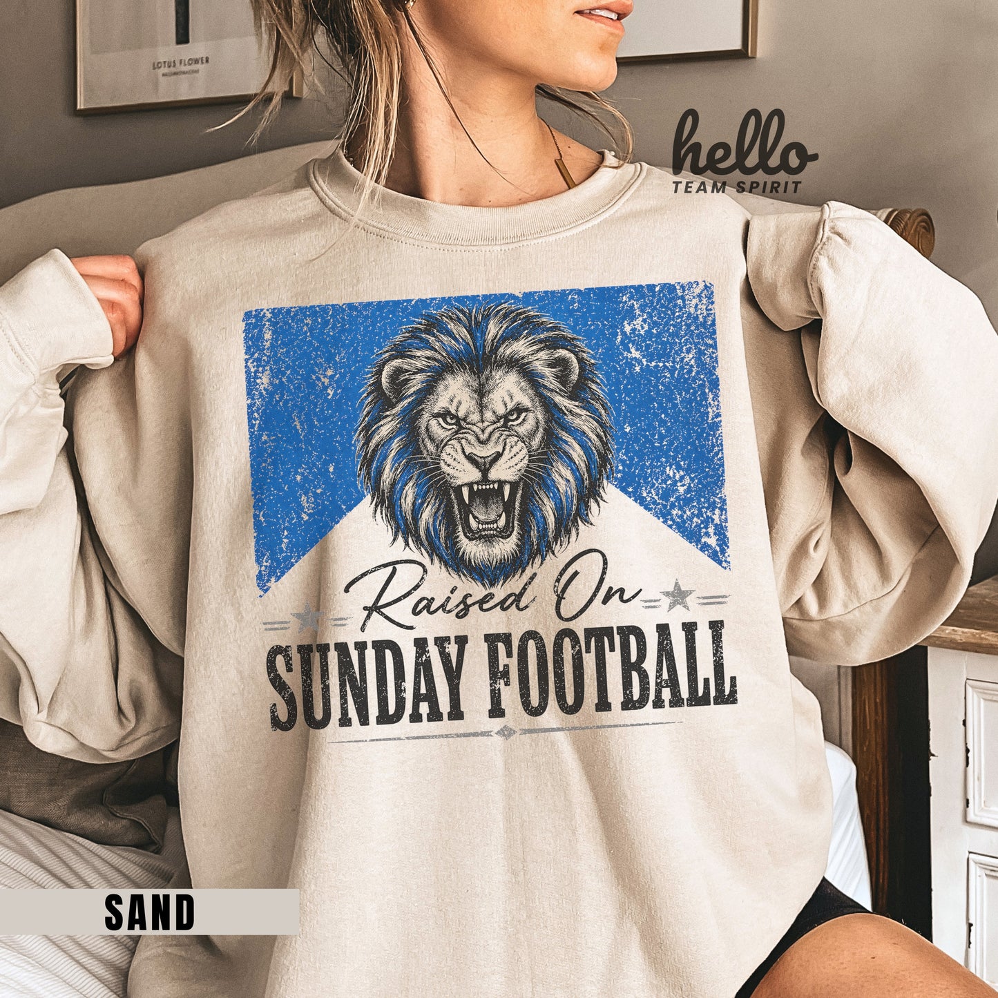 Detroit Sunday Football Graphic Sweatshirt
