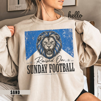 Detroit Sunday Football Graphic Sweatshirt