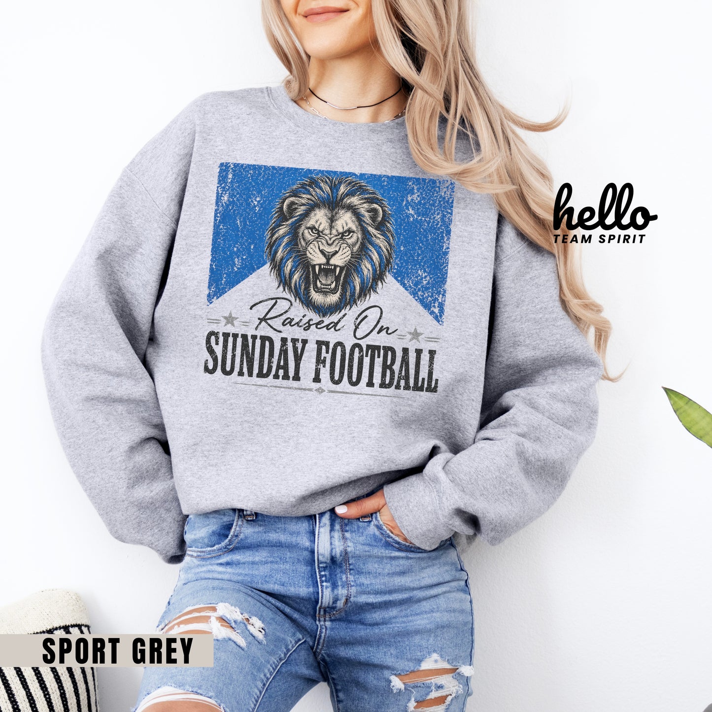Detroit Sunday Football Graphic Sweatshirt