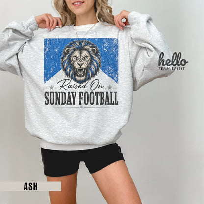 Detroit Sunday Football Graphic Sweatshirt
