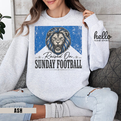 Detroit Sunday Football Graphic Sweatshirt