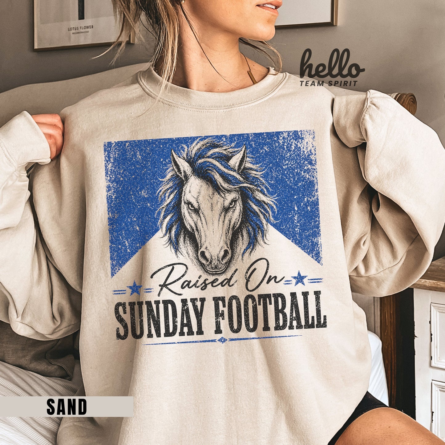 Indianapolis Sunday Football Graphic Sweatshirt