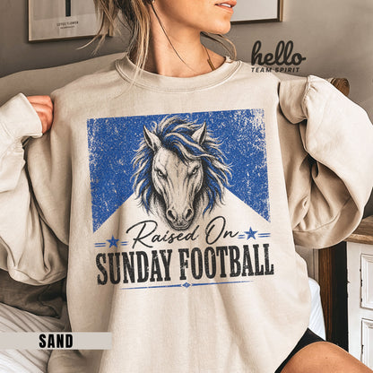 Indianapolis Sunday Football Graphic Sweatshirt