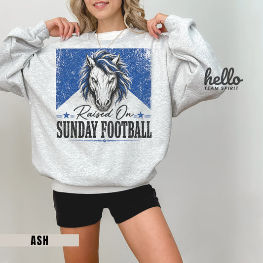 Indianapolis Sunday Football Graphic Sweatshirt