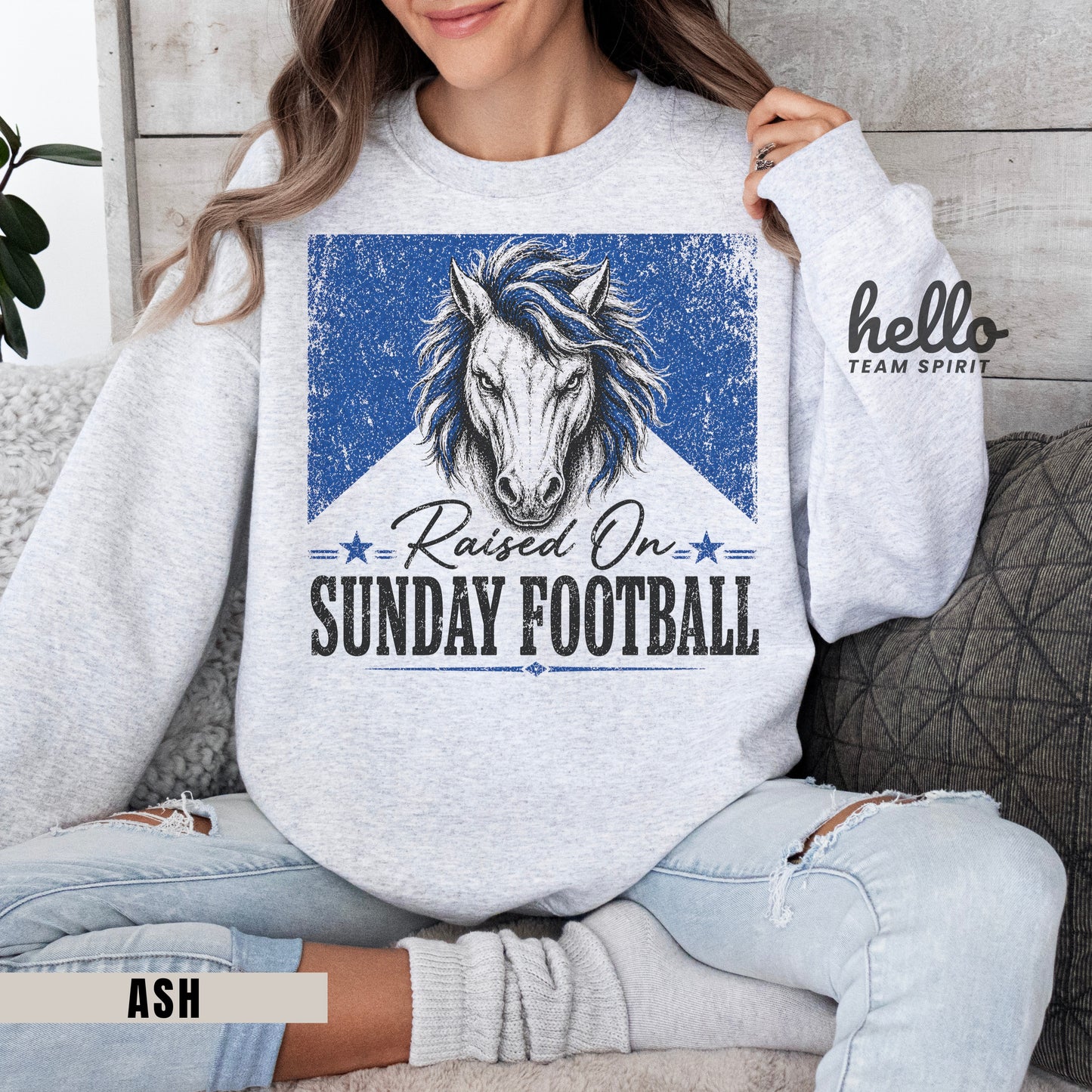 Indianapolis Sunday Football Graphic Sweatshirt