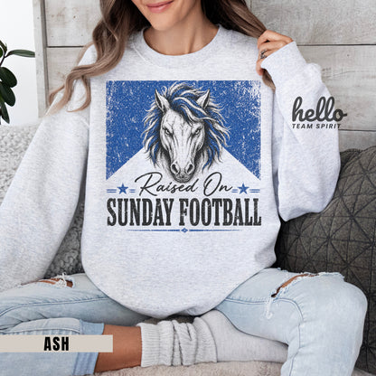 Indianapolis Sunday Football Graphic Sweatshirt