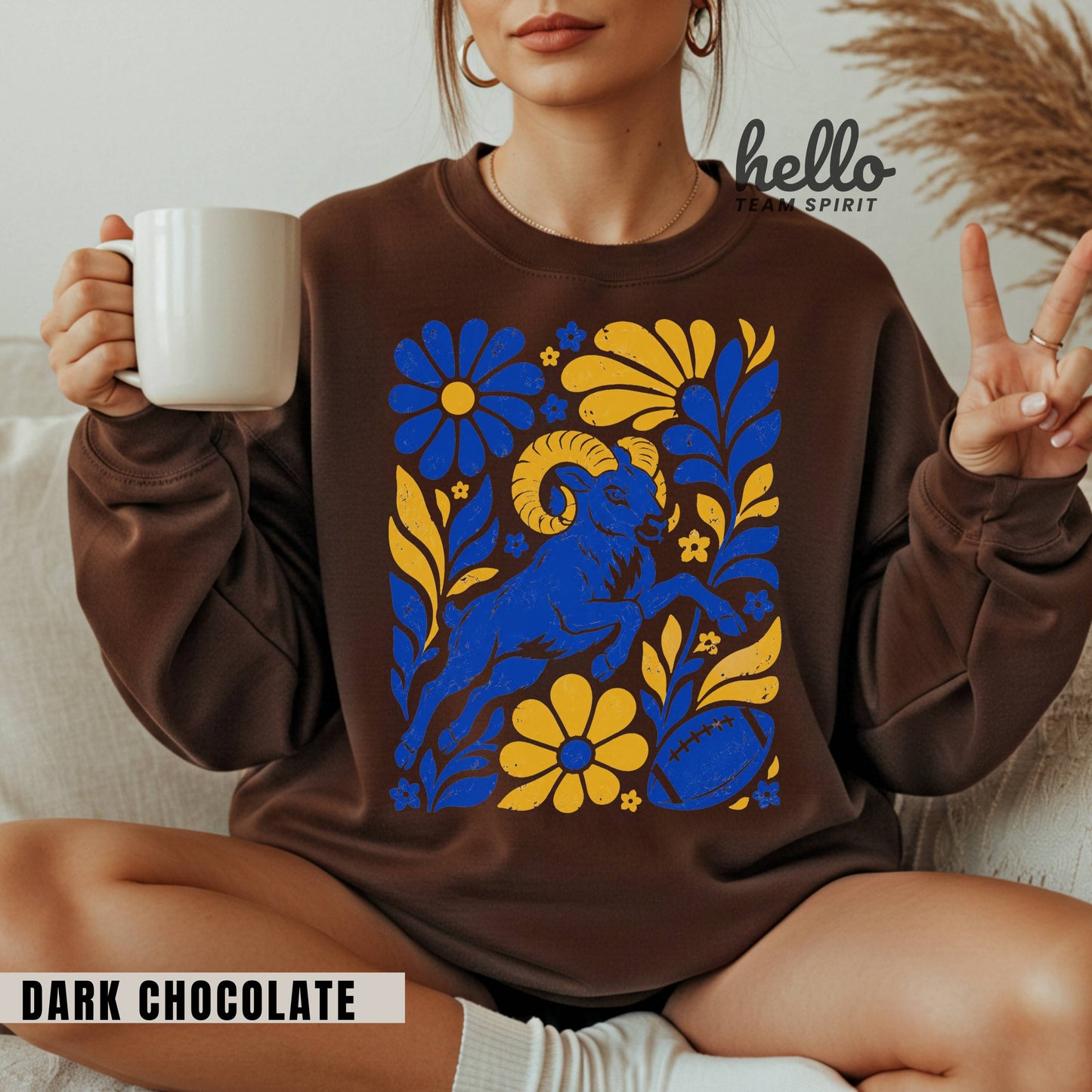 Los Angeles Boho Football Graphic Sweatshirt