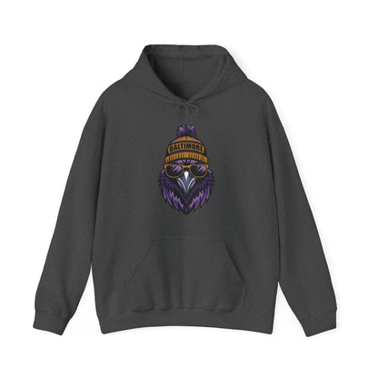 Baltimore Hoodie, Unisex Hooded Sweatshirt