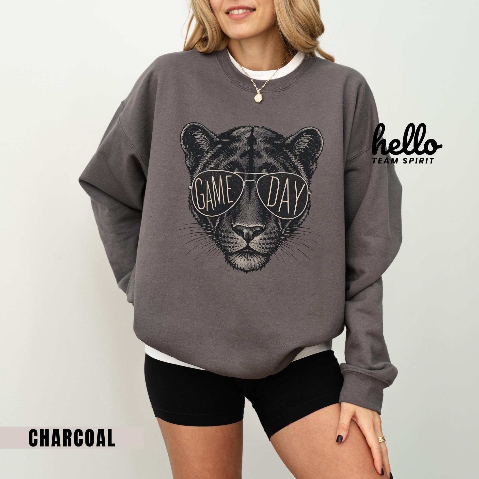 Vintage Panther Game Day Sweatshirt, Retro Football Mascot Shirt, Sports Graphic Long Sleeve, Youth Adult Team Spirit Wear Apparel HTS021