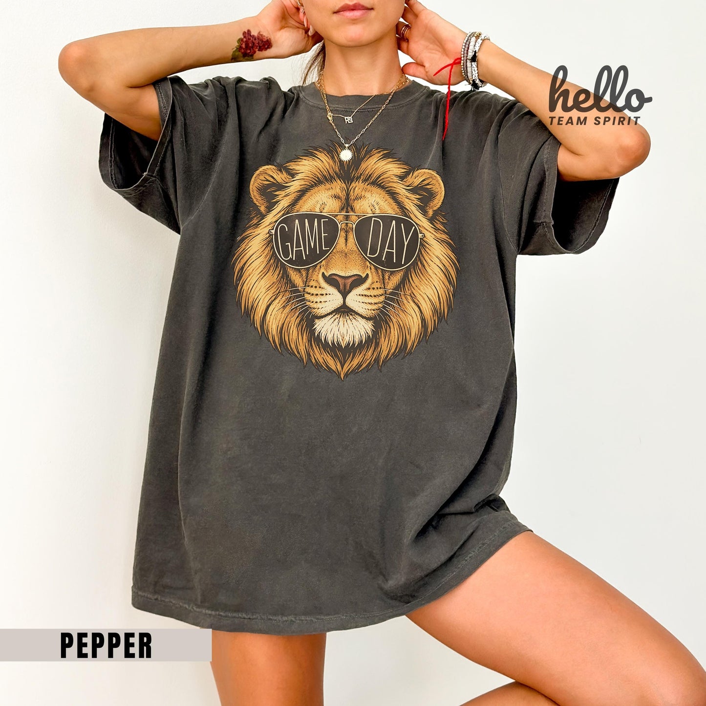 Lion Game Day Sweatshirt, Lion Mascot Detroit Football Shirt, Youth Adult Touchdown Long Sleeve Tee, Spirit Wear Tailgate Party HTS019