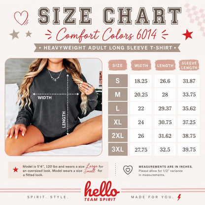 Seattle Football Distressed Sweatshirt, Retro Washington Football Shirt, Seahawk Mascot Game Day Crewneck Tee, Adult Youth Fan Gift HTS043