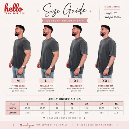 Seattle Football Distressed Sweatshirt, Retro Washington Football Shirt, Seahawk Mascot Game Day Crewneck Tee, Adult Youth Fan Gift HTS043