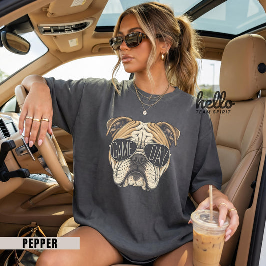 Vintage Bulldog Mascot Game Day Shirt, School Spirit Long Sleeve Tee, Football Fan Sweatshirt, Adult & Youth Spirit Wear HTS-003