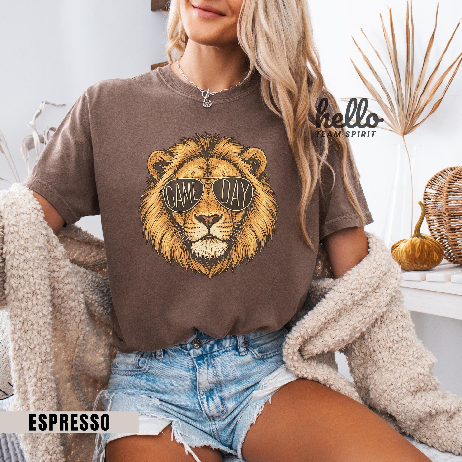 Lion Game Day Sweatshirt, Lion Mascot Detroit Football Shirt, Youth Adult Touchdown Long Sleeve Tee, Spirit Wear Tailgate Party HTS019