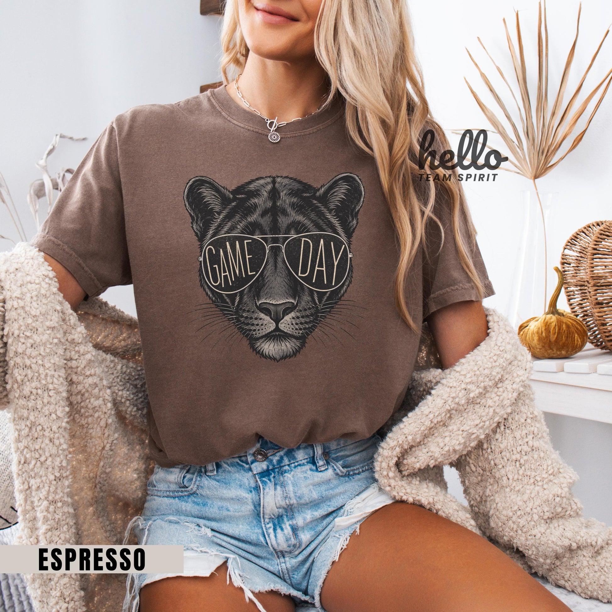 Vintage Panther Game Day Sweatshirt, Retro Football Mascot Shirt, Sports Graphic Long Sleeve, Youth Adult Team Spirit Wear Apparel HTS021