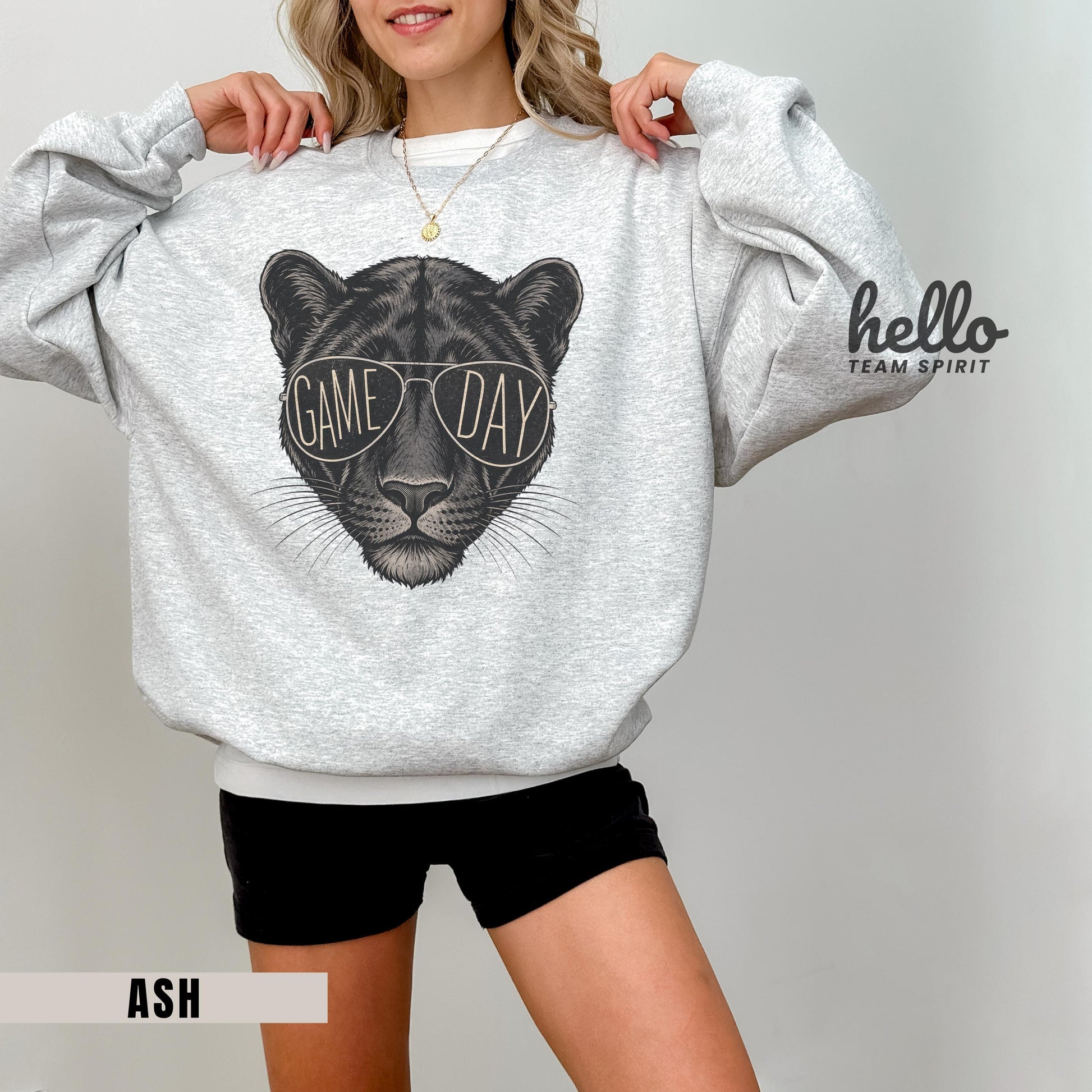 Vintage Panther Game Day Sweatshirt, Retro Football Mascot Shirt, Sports Graphic Long Sleeve, Youth Adult Team Spirit Wear Apparel HTS021