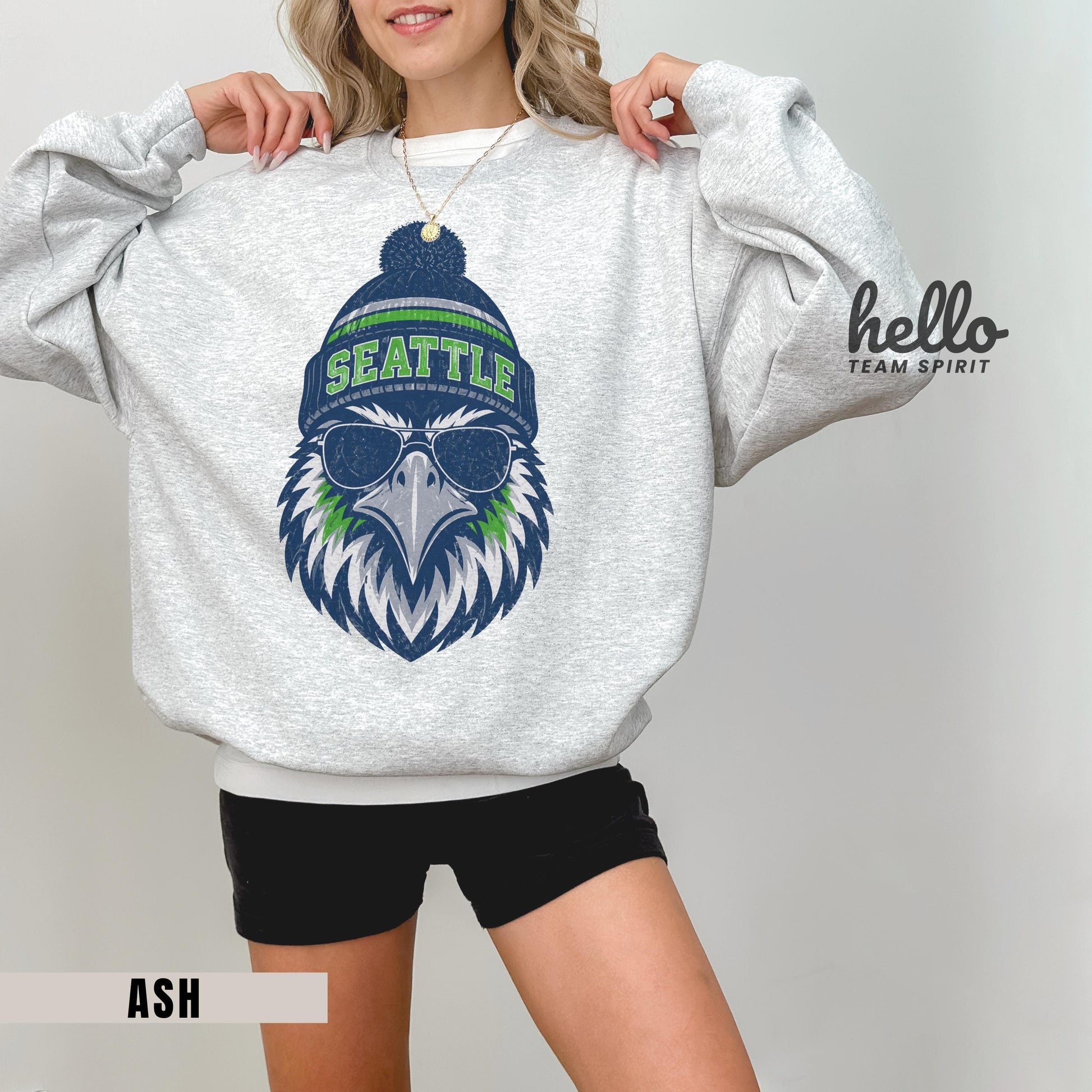 Seattle Football Distressed Sweatshirt, Retro Washington Football Shirt, Seahawk Mascot Game Day Crewneck Tee, Adult Youth Fan Gift HTS043