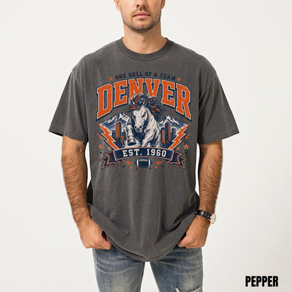 Vintage Denver Football Sweatshirt, Game Day Crewneck, Denver Fan, Denver Football T-Shirt, Sunday Football Tshirt, Bronco Shirt HTS092