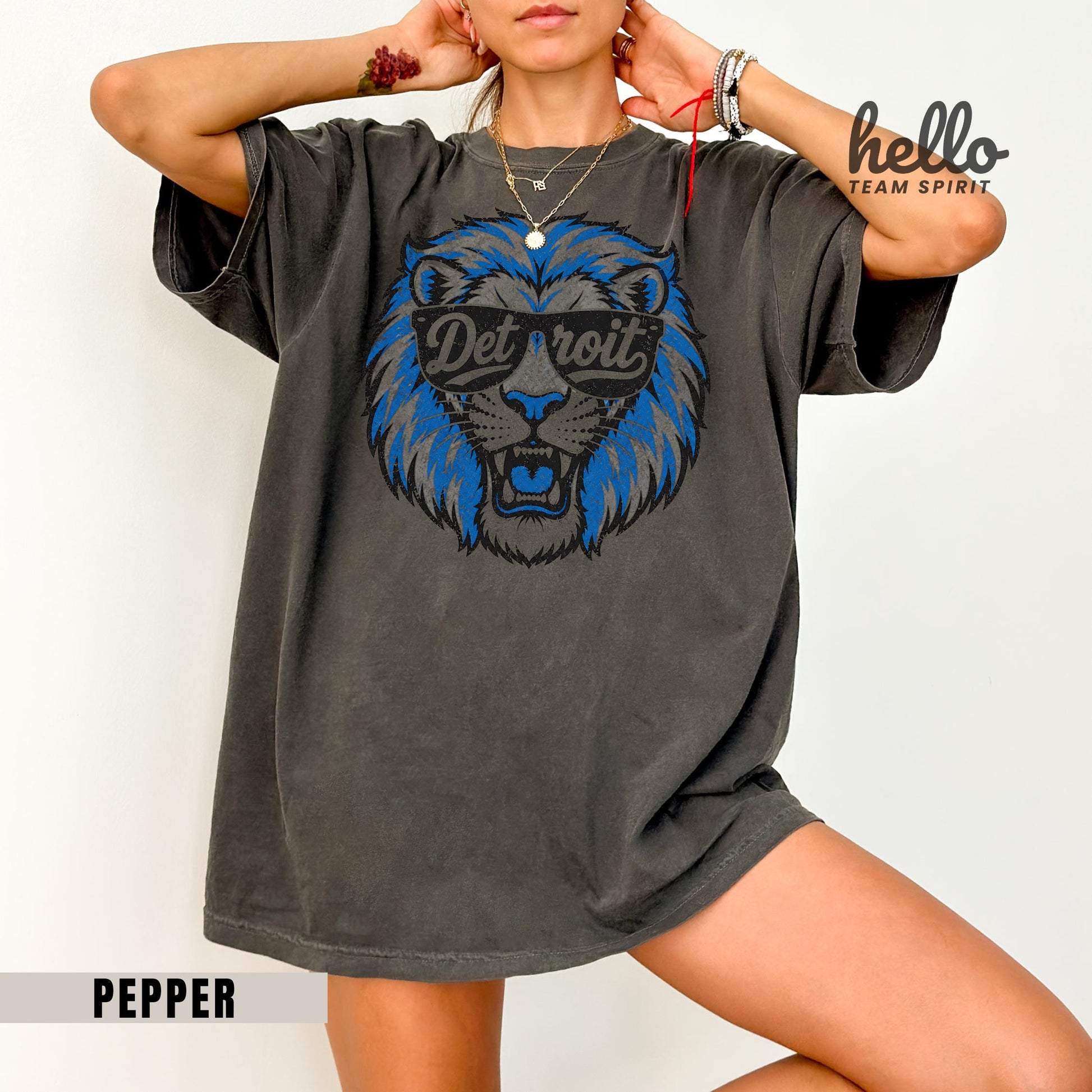 Retro Lions Mascot Game Day Sweatshirt, Detroit Football Spirit Shirt, Youth Adult Team Mascot Long Sleeve, Tailgate Party Apparel HTS097