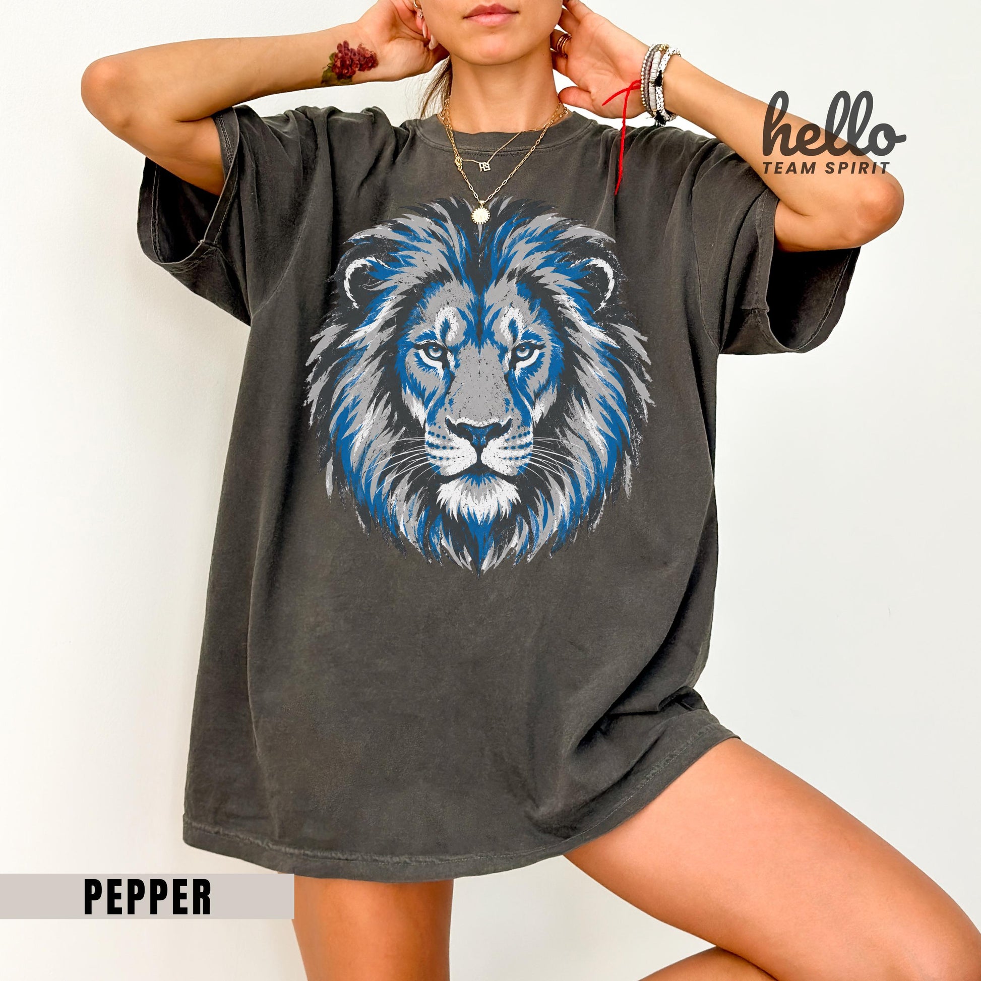Detroit Football Long Sleeve, Lion Mascot Sweatshirt and ThisrtTee, Detroit Football Shirt, Detroit Sweater, Sunday Football HTS099